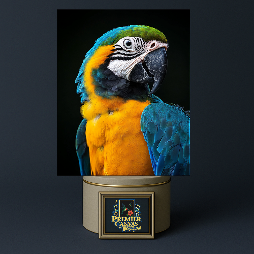 Macaw Splendor