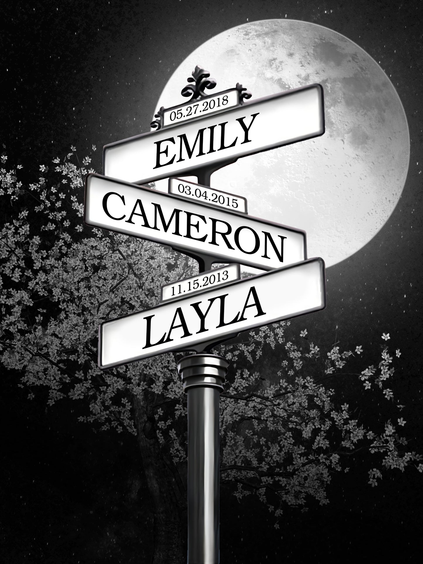 Family Name Street Sign