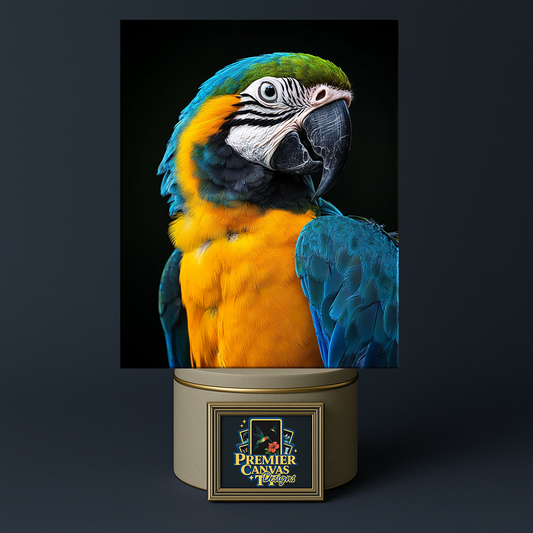 Macaw Splendor