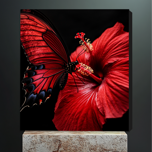 Hibiscus Kiss
